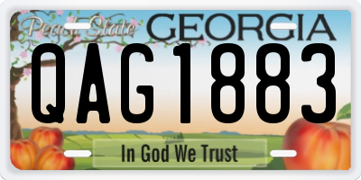 GA license plate QAG1883
