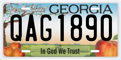 GA license plate QAG1890