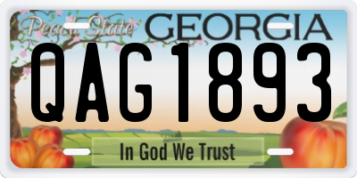 GA license plate QAG1893