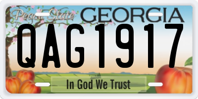 GA license plate QAG1917