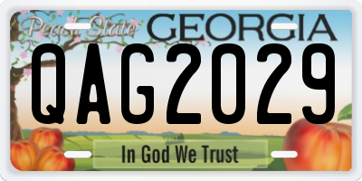 GA license plate QAG2029