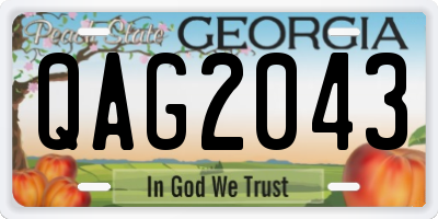 GA license plate QAG2043