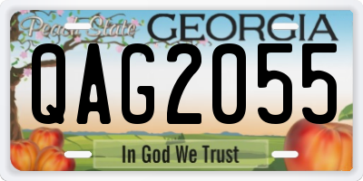 GA license plate QAG2055
