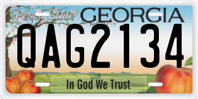 GA license plate QAG2134