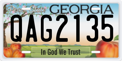 GA license plate QAG2135
