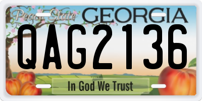 GA license plate QAG2136