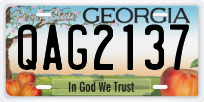 GA license plate QAG2137