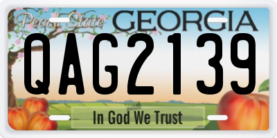 GA license plate QAG2139
