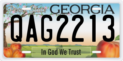 GA license plate QAG2213