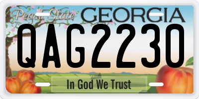 GA license plate QAG2230