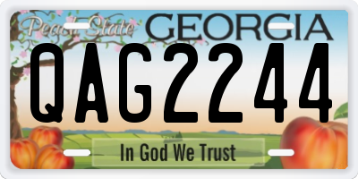 GA license plate QAG2244