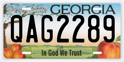 GA license plate QAG2289