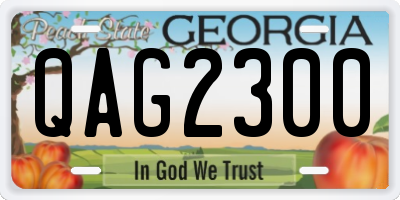 GA license plate QAG2300