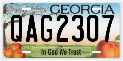 GA license plate QAG2307