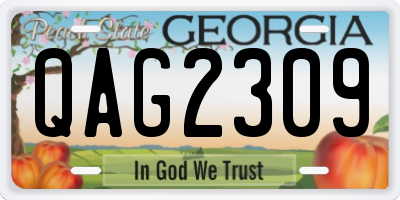 GA license plate QAG2309