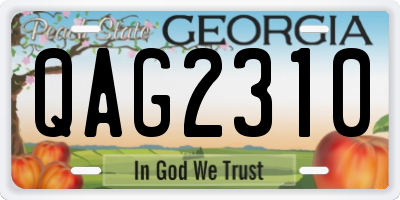 GA license plate QAG2310