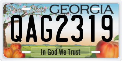 GA license plate QAG2319