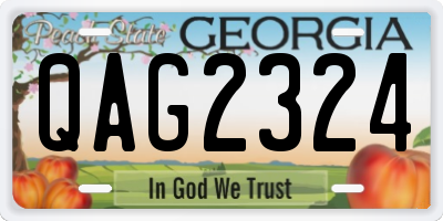 GA license plate QAG2324