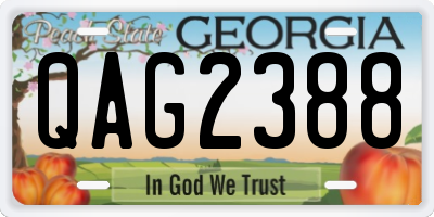 GA license plate QAG2388