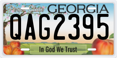 GA license plate QAG2395