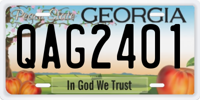 GA license plate QAG2401