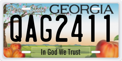 GA license plate QAG2411