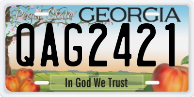 GA license plate QAG2421