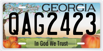 GA license plate QAG2423