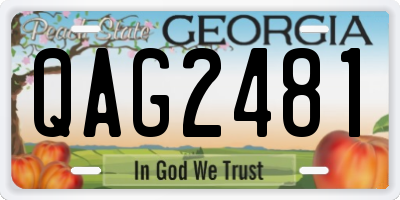 GA license plate QAG2481