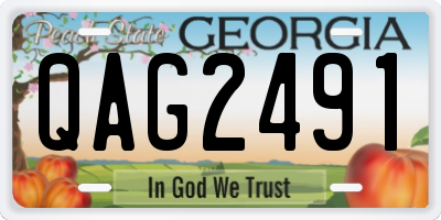 GA license plate QAG2491