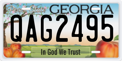 GA license plate QAG2495