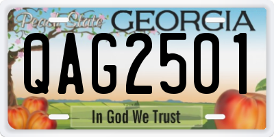 GA license plate QAG2501