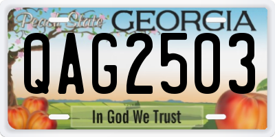 GA license plate QAG2503