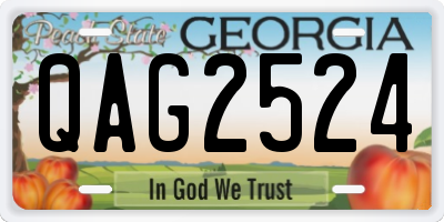 GA license plate QAG2524