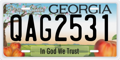 GA license plate QAG2531