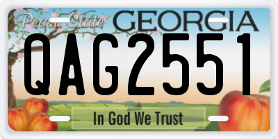 GA license plate QAG2551