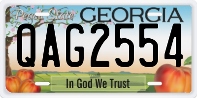 GA license plate QAG2554