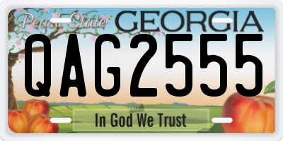 GA license plate QAG2555
