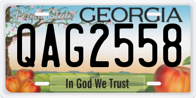 GA license plate QAG2558