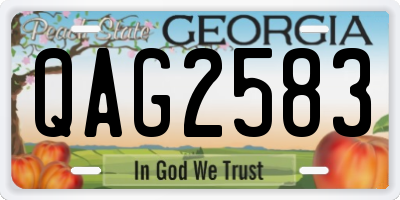 GA license plate QAG2583