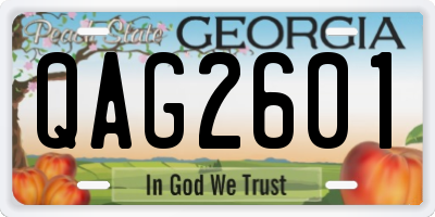 GA license plate QAG2601