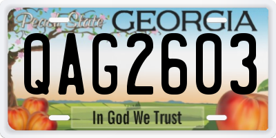 GA license plate QAG2603