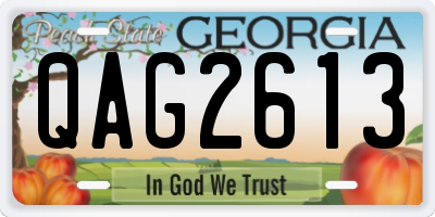 GA license plate QAG2613