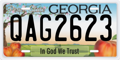 GA license plate QAG2623