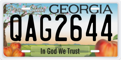 GA license plate QAG2644