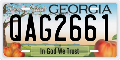 GA license plate QAG2661