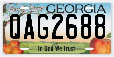 GA license plate QAG2688