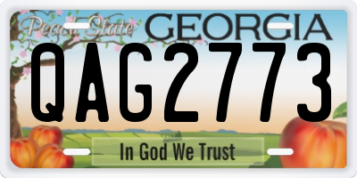 GA license plate QAG2773