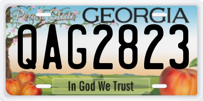 GA license plate QAG2823