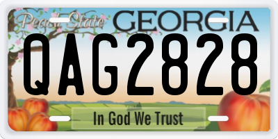 GA license plate QAG2828